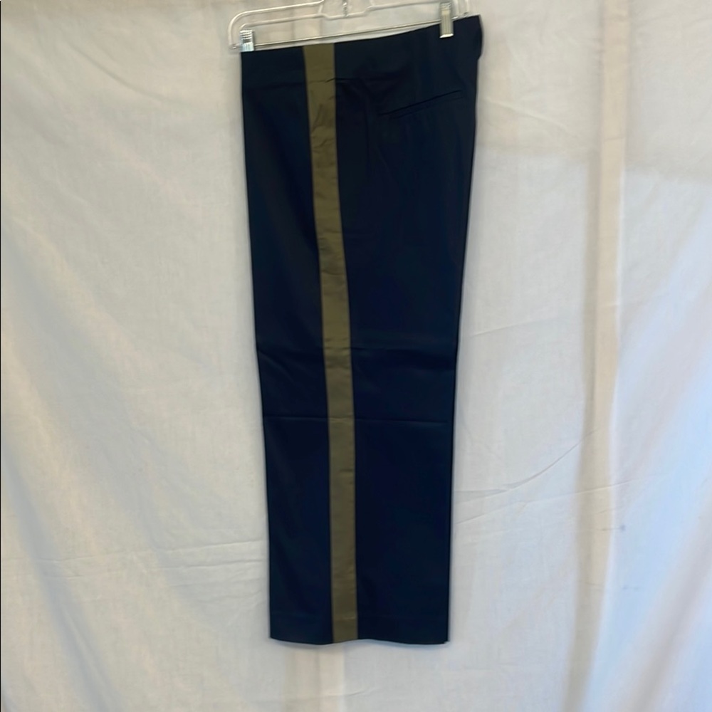NWT JCrew Navy Pants with Khaki Stripe